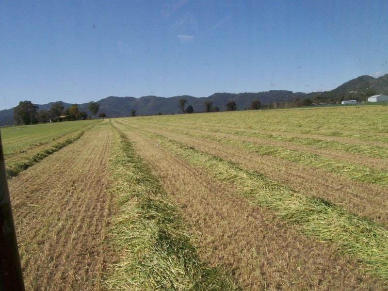 Chelsea Farm 158 Walmar Road, Tamworth NSW 2340