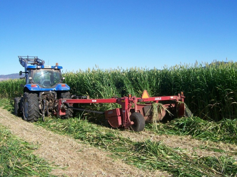 Chelsea Farm 158 Walmar Road, Tamworth NSW 2340