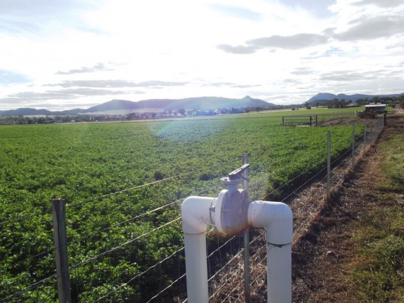 Chelsea Farm 158 Walmar Road, Tamworth NSW 2340