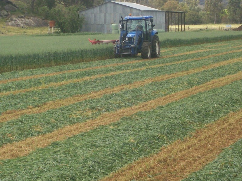 Chelsea Farm 158 Walmar Road, Tamworth NSW 2340