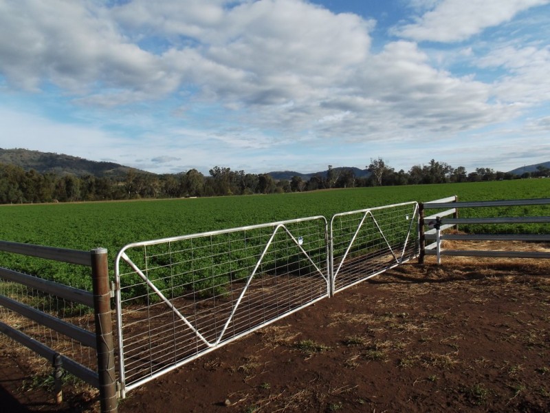 Chelsea Farm 158 Walmar Road, Tamworth NSW 2340