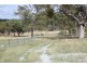 Valley View 2000 Kingstown Road, Uralla NSW 2358