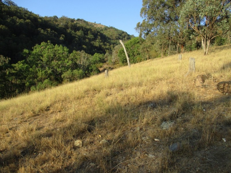 Lot 201 Happy Valley Road, Nundle NSW 2340