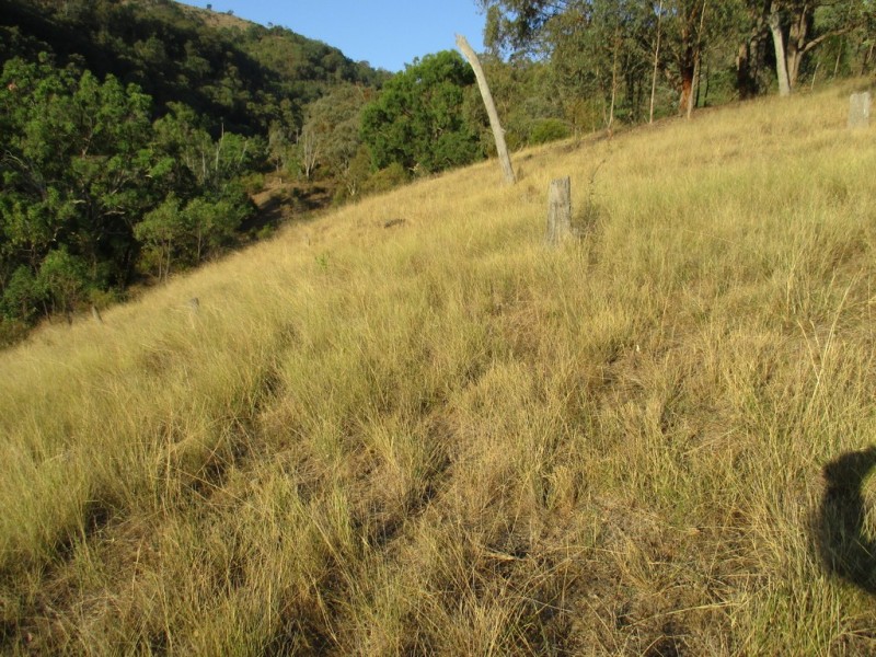 Lot 201 Happy Valley Road, Nundle NSW 2340