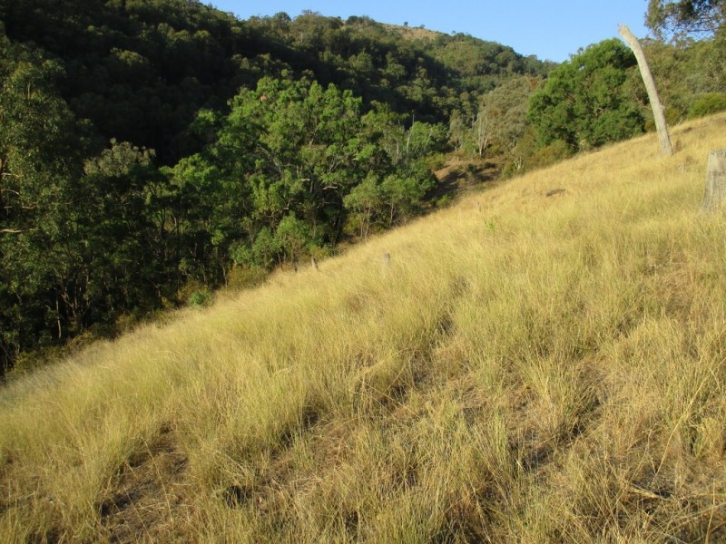 Lot 201 Happy Valley Road, Nundle NSW 2340