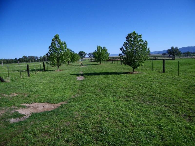 9 Kingswood Dr., Tamworth NSW 2340