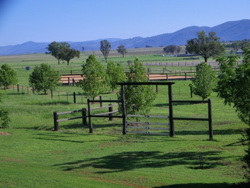 9 Kingswood Dr., Tamworth NSW 2340