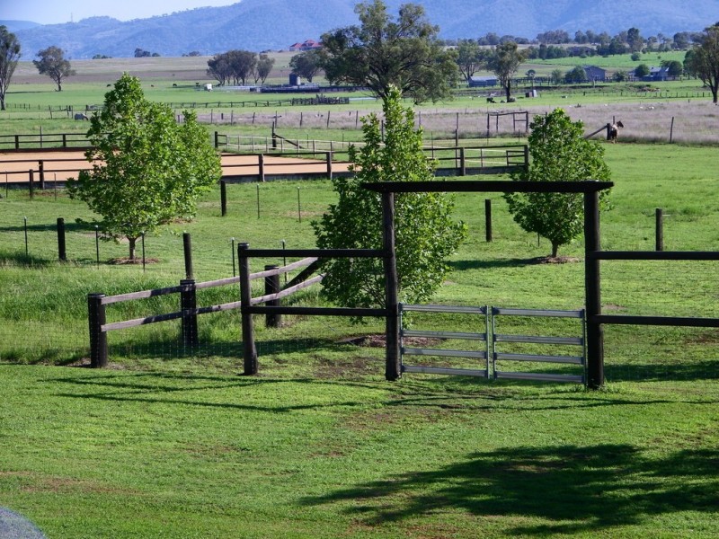 9 Kingswood Dr., Tamworth NSW 2340