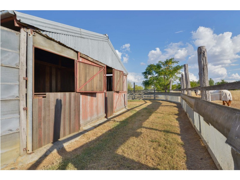 9 Kingswood Dr., Tamworth NSW 2340