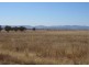 161 Jenners Lane, Tamworth NSW 2340