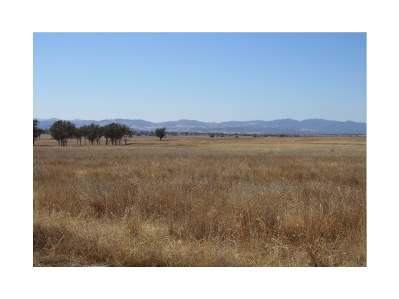 161 Jenners Lane, Tamworth NSW 2340