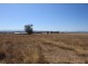 161 Jenners Lane, Tamworth NSW 2340