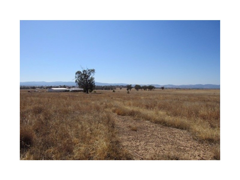 161 Jenners Lane, Tamworth NSW 2340