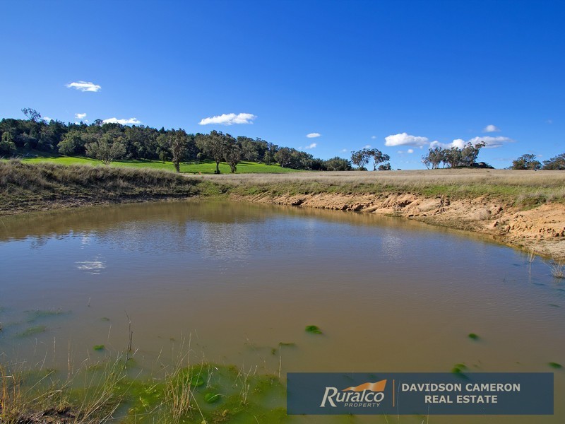 359 Yarrol Road, Kootingal NSW 2352