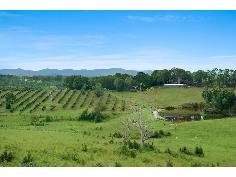 Alstonvale NSW 2477