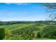 Alstonvale NSW 2477