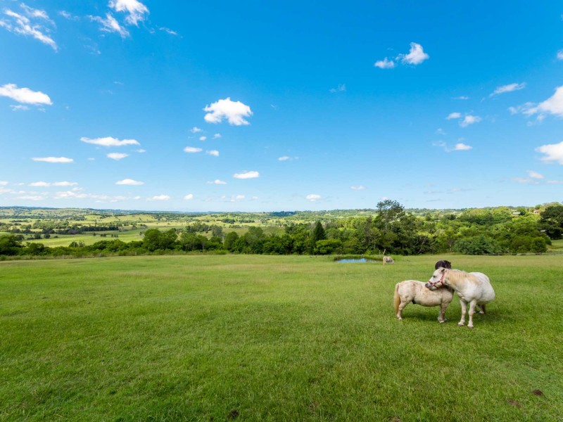 238 Richmond Hill Road, Richmond Hill NSW 2480