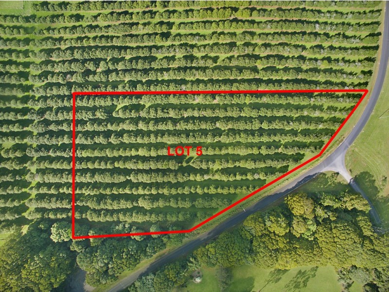 Lot 5 192 Dalwood Road, Dalwood NSW 2477