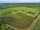 Lot 5 192 Dalwood Road, Dalwood NSW 2477