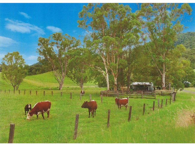 34 Doohans Road, Boorabee Park NSW 2480