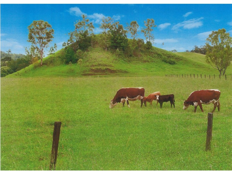 34 Doohans Road, Boorabee Park NSW 2480