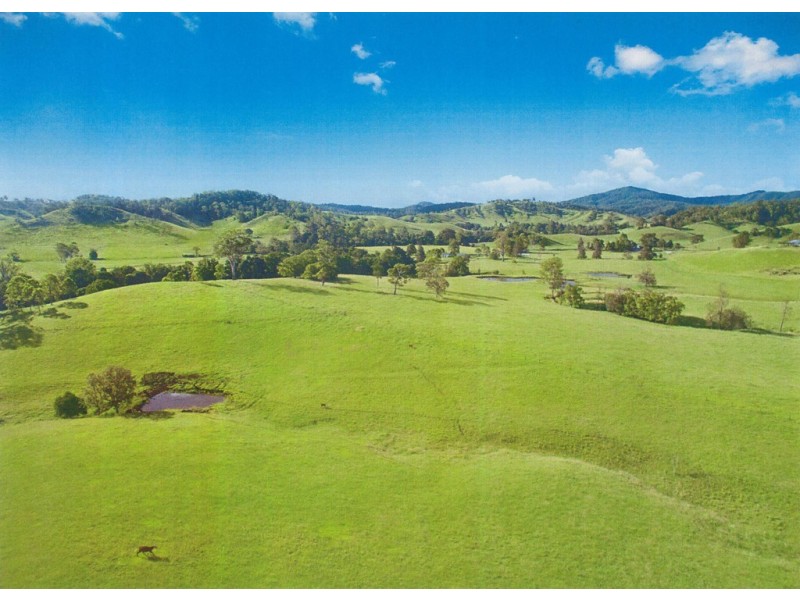 34 Doohans Road, Boorabee Park NSW 2480