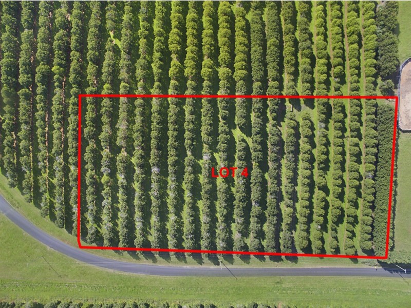 Lot 4 192 Dalwood Road, Dalwood NSW 2477
