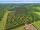 Lot 4 192 Dalwood Road, Dalwood NSW 2477