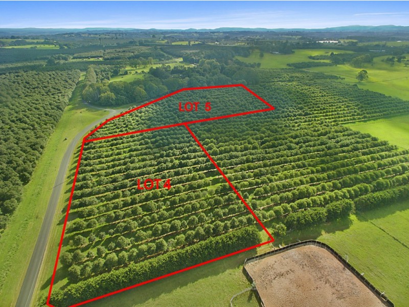 Lot 4 192 Dalwood Road, Dalwood NSW 2477