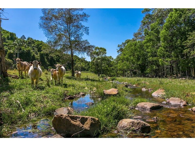 245 Duck Creek Mountain Road, Alstonville NSW 2477