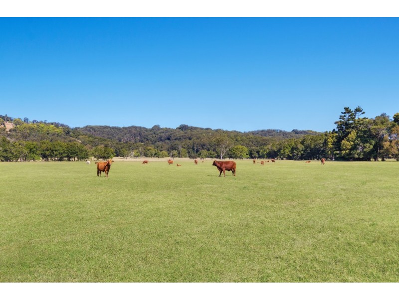 142 Bartletts Lane, Meerschaum Vale NSW 2477