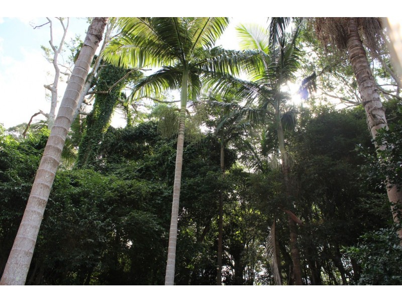 9 Gilmore Close, Wollongbar NSW 2477