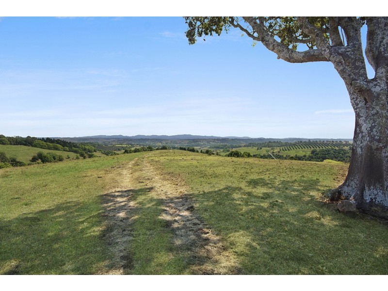 Mcleans Ridges NSW 2480