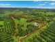 36 Rudwick Road, Tregeagle NSW 2480