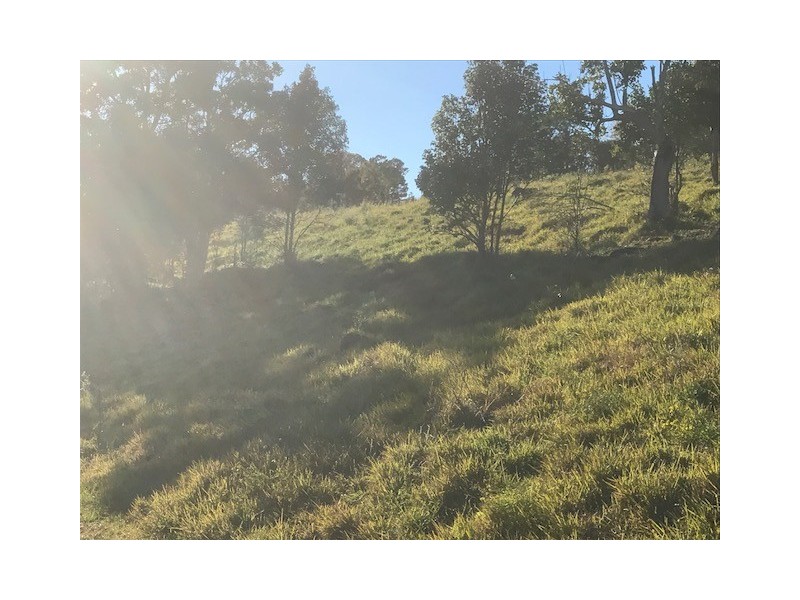 424 Boatharbour Road, Boat Harbour NSW 2480