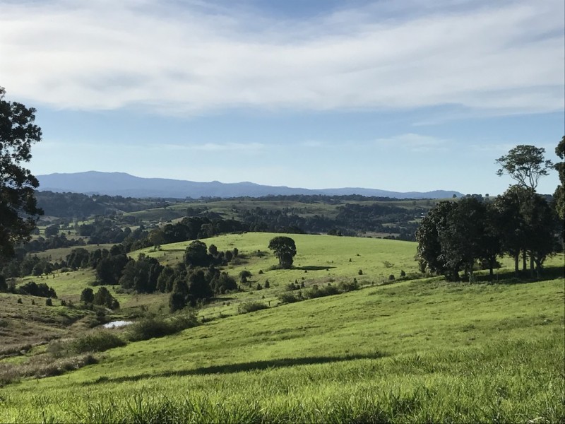 Lot 418 Cameron Park, Mcleans Ridges NSW 2480