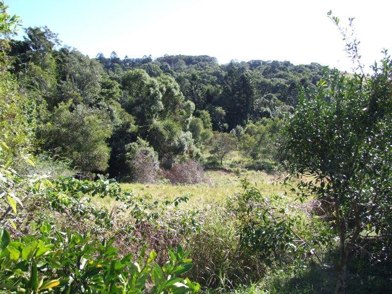 1162 Wardell Road, Meerschaum Vale NSW 2477