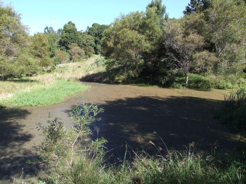 1162 Wardell Road, Meerschaum Vale NSW 2477