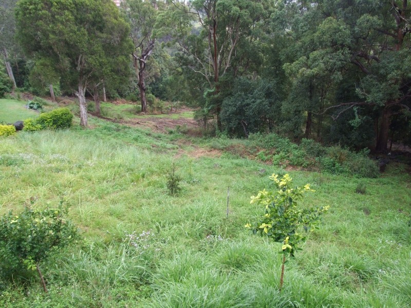 21 Carramar Drive, Goonellabah NSW 2480