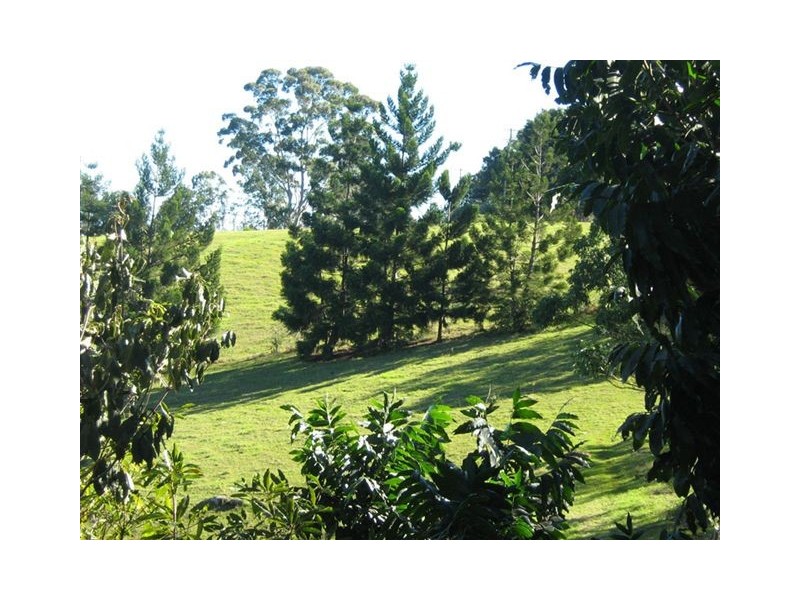 275 James Gibson Road, Clunes NSW 2480