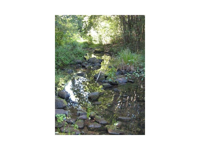 275 James Gibson Road, Clunes NSW 2480