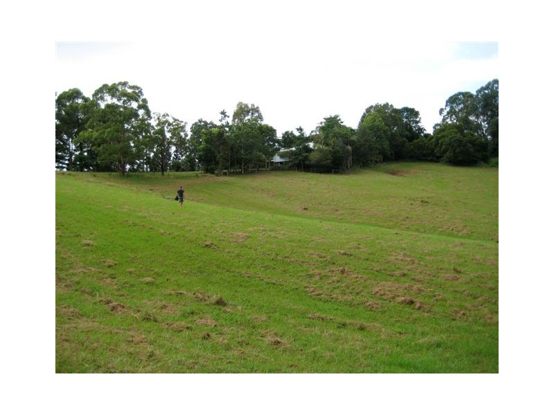 275 James Gibson Road, Clunes NSW 2480