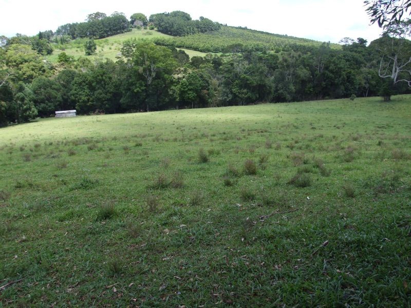 Lot 3 Byrnes Lane, Tuckombil NSW 2477