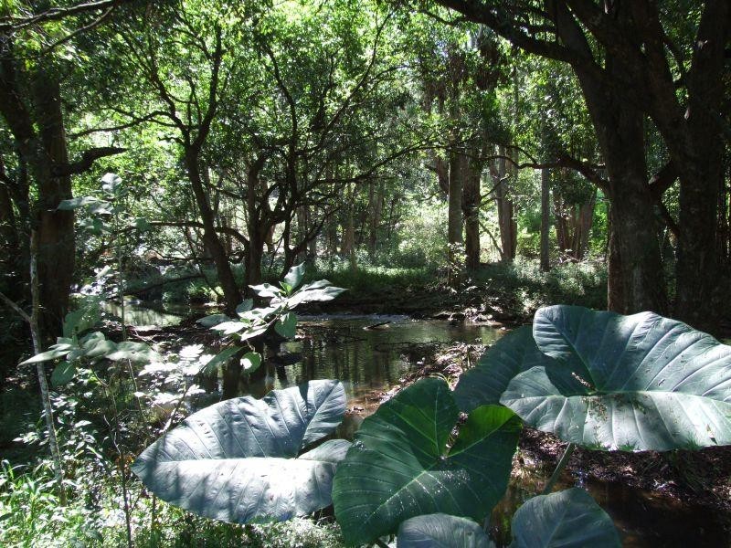 Lot 3 Marom Creek Road, Meerschaum Vale NSW 2477