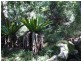 Lot 3 Marom Creek Road, Meerschaum Vale NSW 2477