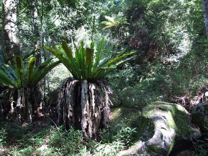 Lot 3 Marom Creek Road, Meerschaum Vale NSW 2477