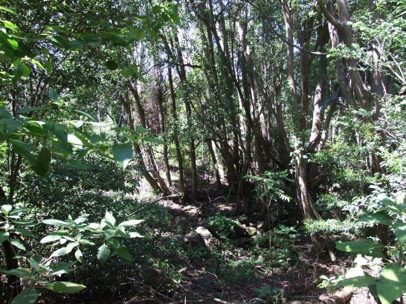 Lot 3 Marom Creek Road, Meerschaum Vale NSW 2477