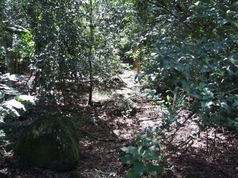 Lot 3 Marom Creek Road, Meerschaum Vale NSW 2477