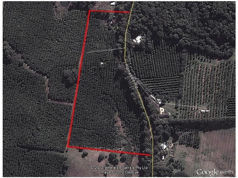 15 Alphadale Road, Lindendale NSW 2480