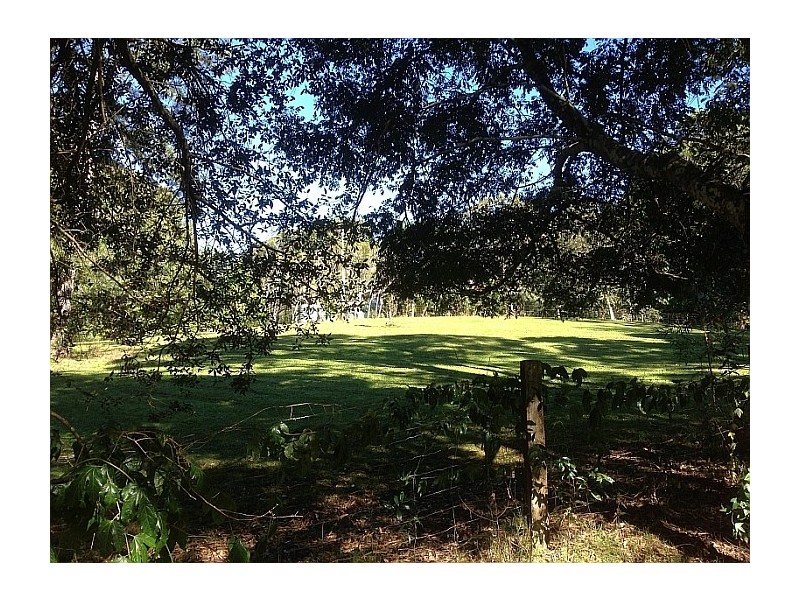 221 Graham Road, Marom Creek NSW 2480